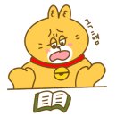 캐릭터그루밍 이미지