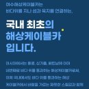 극 P의 1박 2일 여수 여행 / 뚜벅이 여행 코스 추천