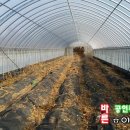 청운면사무소 1층 네이버블로그