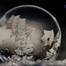 스카이고시텔 이미지