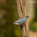 성지고시원 - 광진구 뚝섬로23가길 31 | 성지고시원