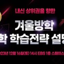 뉴스타피아