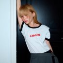 첨(cheom) 네이버블로그