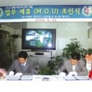 비제이파트너스