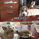호야반점 - 북구 백양대로 1135 | 호야반점