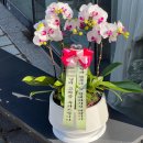 서재5길 이미지