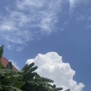 써니 SCHOOL | [TOEIC Speaking] 토익스피킹 독학 · IH · 템플릿