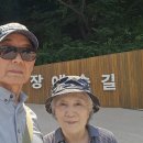 우면산 무장애길 걷기 마일리지 이벤트 참가 이미지