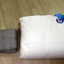 세러데이모닝 이미지