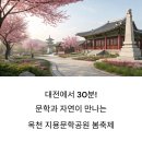 옥천공원 이미지