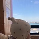 [울산맛집]바다 보면서 대게가 먹고싶다면_동성호 정자대게직판장