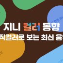 니블스카이