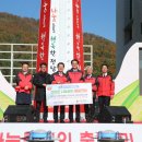 신안함초소금밭 이미지