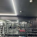 스타짐23 이미지