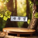H1503 이미지