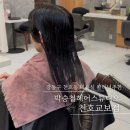 류헤어살롱 - 중구 | 천호동 미용실 박승철 헤어스투디오 천호교보점의 정 디자이너, 단시간 높은 효과의 오클리닉 후기