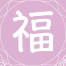 민경애견 이미지