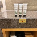 호텔 마에스트로 | 🌿안성 마에스트로 호텔 온돌룸 후기 (아기랑 숙박 2번 방문 내돈내산)