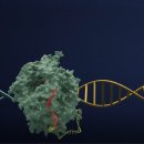 가위나라 이미지