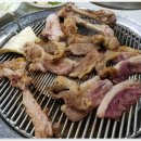 낙동강오리알 이미지