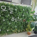 오늘, 헤어 네이버블로그