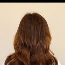 모던파마 이미지