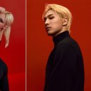 탄스사이클 이미지