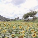 청성면행정복지센터 이미지