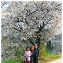 석수농장 이미지