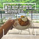 플랜테리어가 돋보이는 울산 삼산 스콘 맛집 밀리언하우스