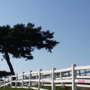 풀잎목장 이미지