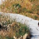 고금대교휴게소 이미지