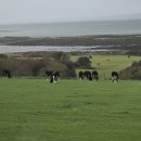 친구마을 세탁사업장(아름다운세탁나라) | 🇮🇪 아일랜드 1 - 골웨이Galway