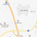 안성 최강태권도장 이미지