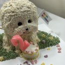 소중한 댕 이미지