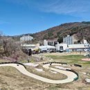 핑크하우스 | 휘닉스파크 평창 루지 6세 아이와 탑승 후기 숙박 할인 정보