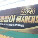 금빛 호랑이 태권도 이미지