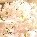 명지365다나슬한의원 이미지