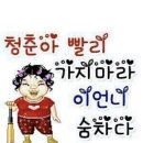 홍시언니 네이버블로그