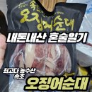 최고수산 | [내돈내산 혼술일기] 최고다농수산 속초 오징어순대 솔직 후기