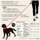 리드 행정사무소 이미지
