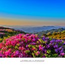 산상목장 티스토리