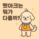 펫아크 이미지