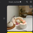 포레스트모리토키 이미지