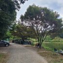 남산근린공원 이미지