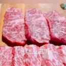 798화로 이미지