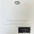 탈리커피로스터즈(Talli Coffee Roasters)