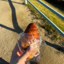 뮤 동전노래연습장 2호점 | [여행] 1박 2일 뚜벅이 대구 여행🚶‍♀️