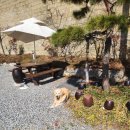 오리주물럭 | 진천 맛집 오리대가ㅣ 오리주물럭 맛집 후기