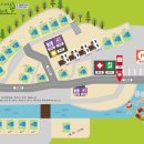 포레스트밸리 이미지